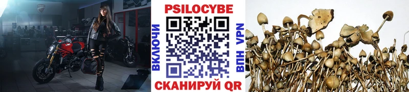 купить закладку  darknet формула  Галлюциногенные грибы мухоморы  Стрежевой 